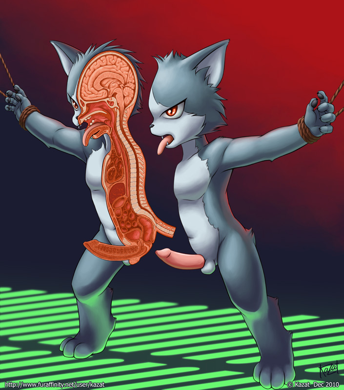 anthro balls bisected bloodless bone brain brain_matter child_murder death erection exposed_bone exposed_brain exposed_muscle exposed_testicle genital_bisection genital_mutilation genital_torture genitals gore gore_focus male mutilation organs penis red_eyes restrained restrained_arms restraints shota simple_background solo tail tongue tongue_out young young_anthro young_male kazat felid mammal 2010