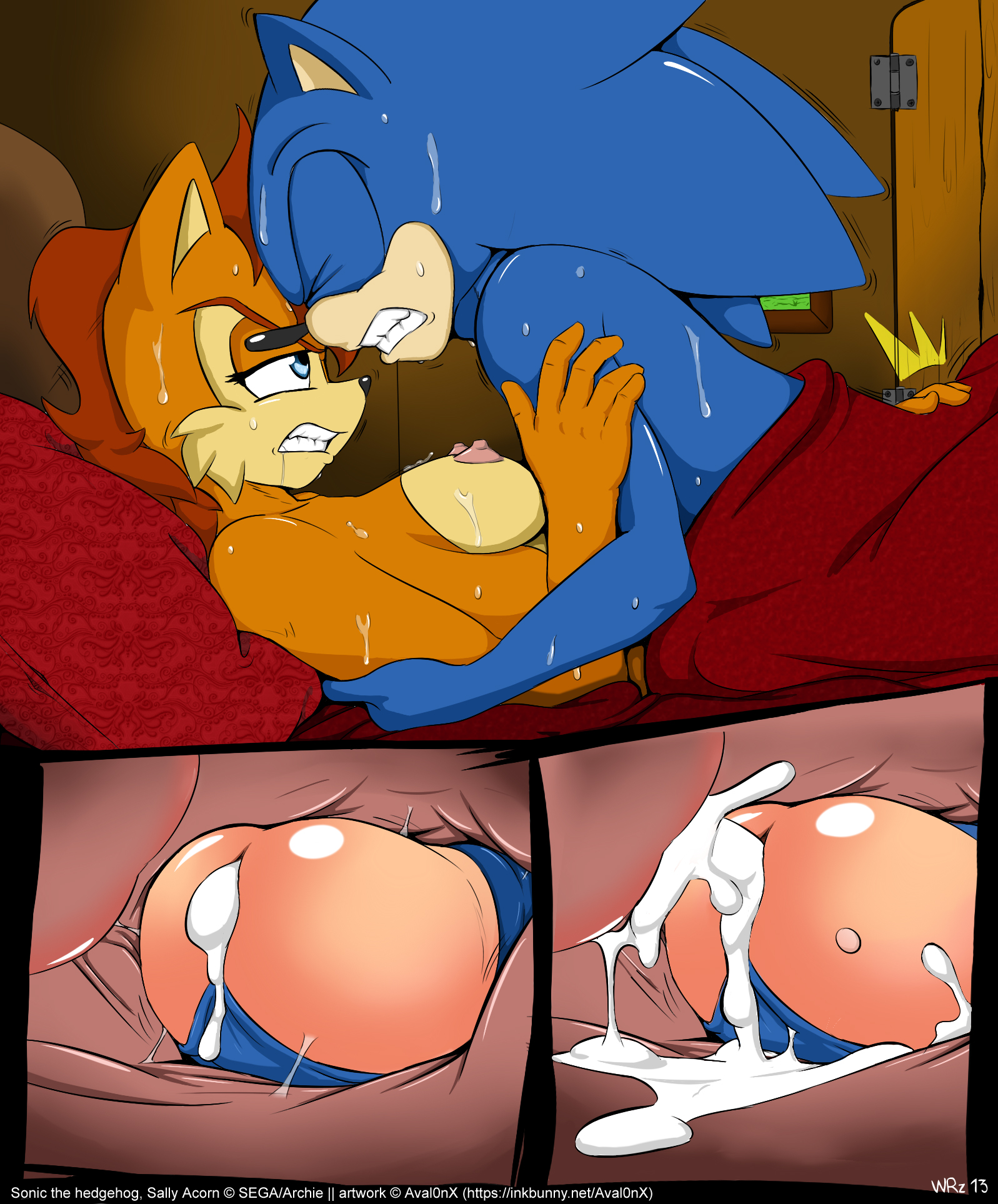 Sonic x sally porn