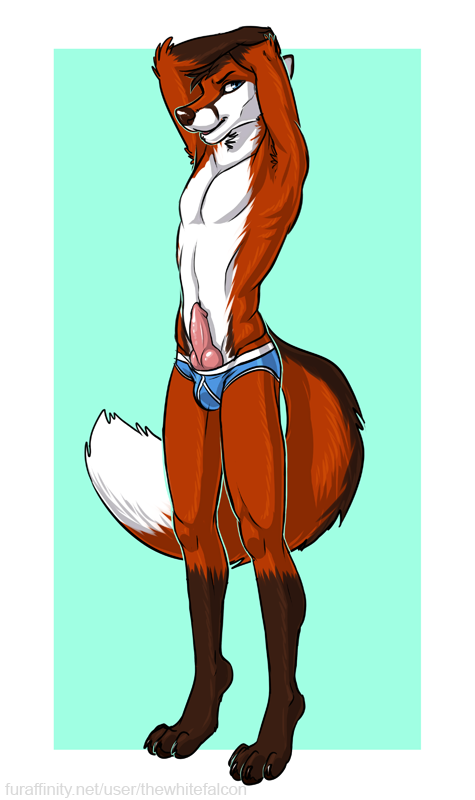 animal_genitalia animal_penis anthro arms_above_head briefs brown_hair canine_genitalia canine_penis clothed clothing digitigrade erection genitals hair knot male penis solo topless underwear dirtybird chipfox canid canine fox mammal red_fox true_fox 2014