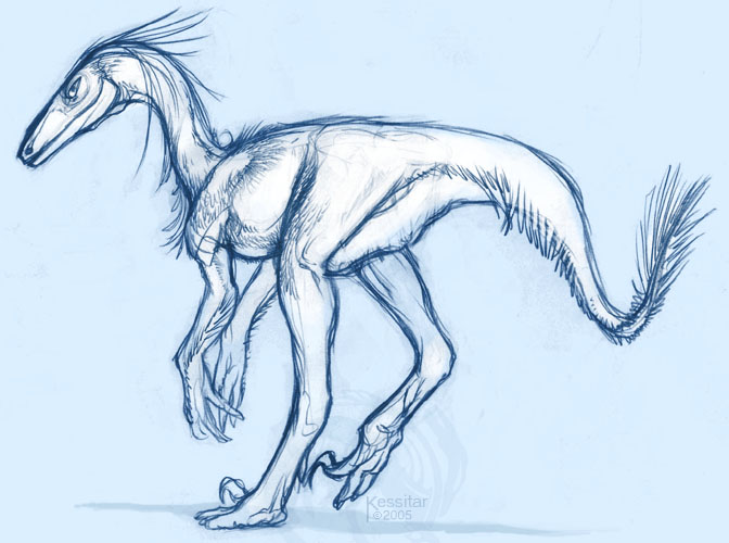 ambiguous_gender biped claws feathers feral looking_at_viewer solo tail syntarsis dinosaur feathered_dinosaur feathered_scalie prehistoric_species reptile scalie stenonychosaurus theropod troodon troodontid monochrome sketch