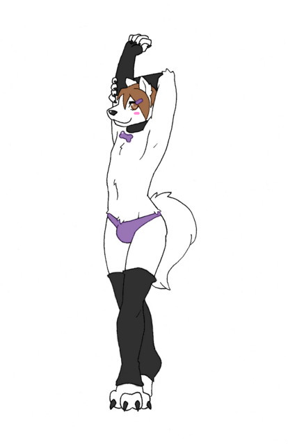 anthro armwear biped bulge clothed clothing crossdressing elbow_gloves femboy front_view gloves handwear legwear male male_anthro panties solo stockings thigh_highs underwear kumorigetsuei sabbyth canid canine canis mammal wolf 2010 digital_drawing_(artwork) digital_media_(artwork) full-length_portrait portrait