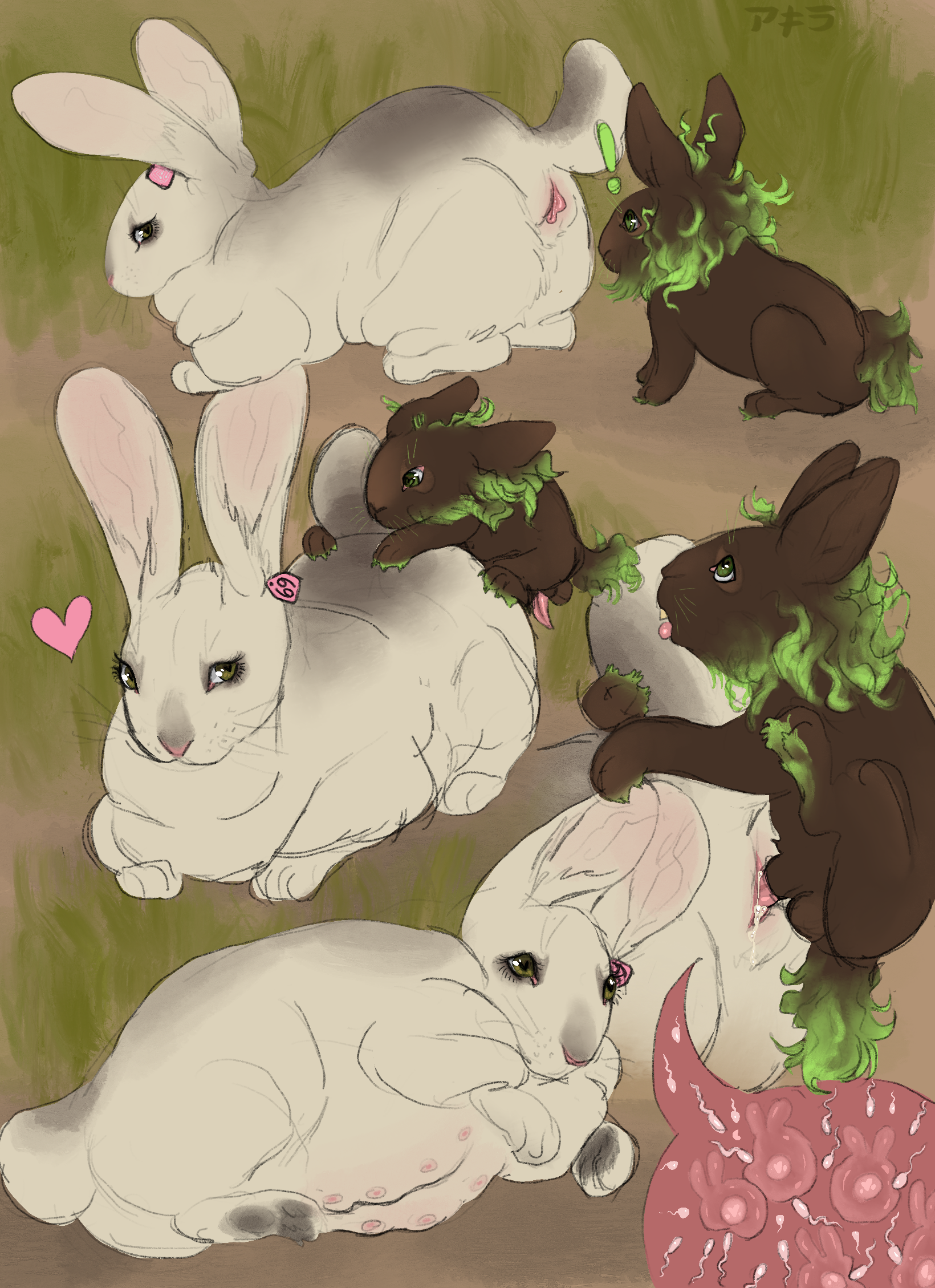 Lionhead Rabbit hentai videos, GIFs, and images | R34.app