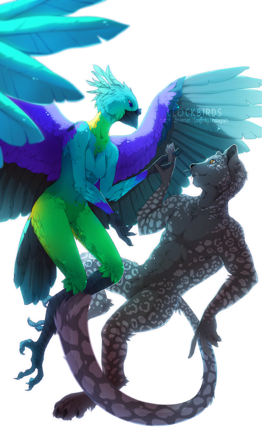 4_toes anisodactyl anthro avian_feet beak black_beak black_body black_fur black_markings blue_body blue_eyes blue_feathers breasts brown_eyes claws duo eye_contact feathered_wings feathers featureless_crotch feet female floating fur green_body green_feathers grey_spots hand_holding humanoid_hands jaguar_spots looking_at_another male markings melanistic non-mammal_breasts nude purple_markings simple_background spots spread_wings tail tail_feathers toes white_background wings yellow_markings clockbirds avian bird felid jaguar mammal pantherine parrot 2016 digital_media_(artwork) hi_res