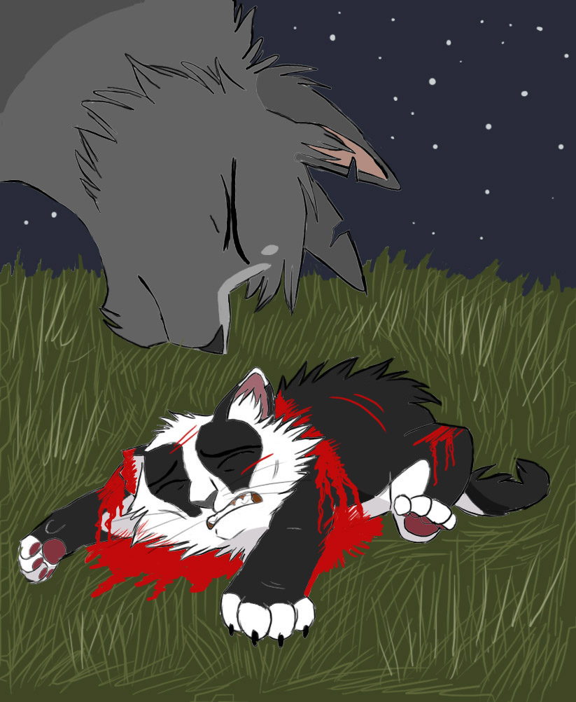 ambiguous_gender black_body black_fur blood bodily_fluids claws death duo eyes_closed feet feral frown fur grass grey_body grey_fur night outside pawpads paws plant quadruped sad sky tail teeth violence white_body white_fur young young_ambiguous young_feral graystripe64 warriors_(book_series) badgerfang_(warriors) flintfang_(warriors) domestic_cat felid feline felis mammal 2010 cel_shading digital_drawing_(artwork) digital_media_(artwork) shaded male_(lore)