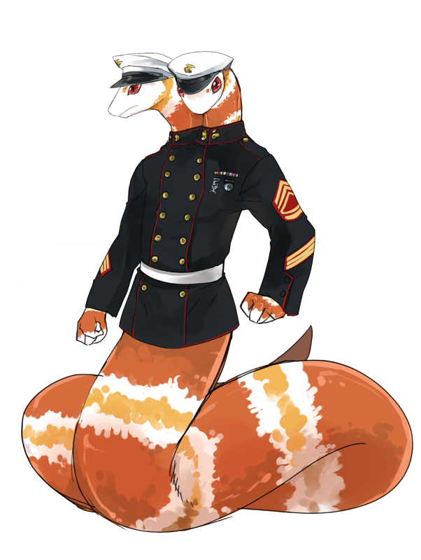 ac8baf96208fa74ddddc79de98ae7c41.png