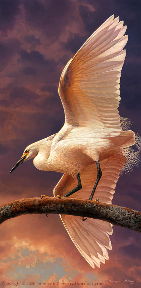 ambiguous_gender branch cloud feral outside realistic sky solo nambroth avian bird egretta heron pelecaniform snowy_egret oil_painting_(artwork) painting_(artwork) traditional_media_(artwork) traditional_painting_(artwork)