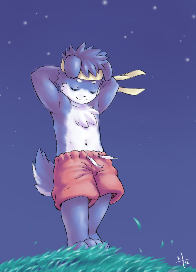 anthro blue_body bottomwear clothing eyes_closed grass hair male multicolored_body navel night paws plant pose shirtless_male shorts sky smile solo standing young young_anthro young_male fffffolder canid canine canis domestic_dog mammal