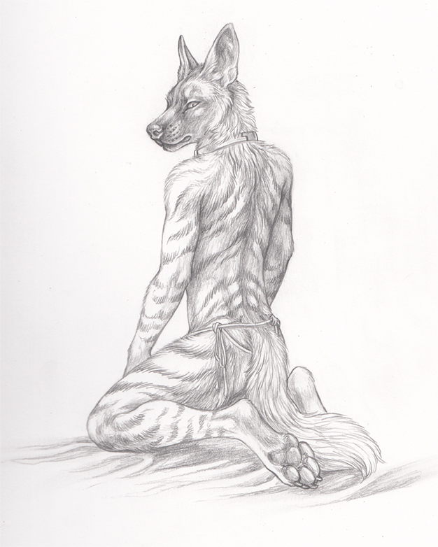 anthro biped claws clothed clothing collar digitigrade feet fur hindpaw kneeling looking_at_viewer looking_back male pawpads paws rear_view simple_background solo stripes toe_claws topless white_background rukis ahsan hyena mammal striped_hyena 2015 graphite_(artwork) greyscale monochrome traditional_media_(artwork)