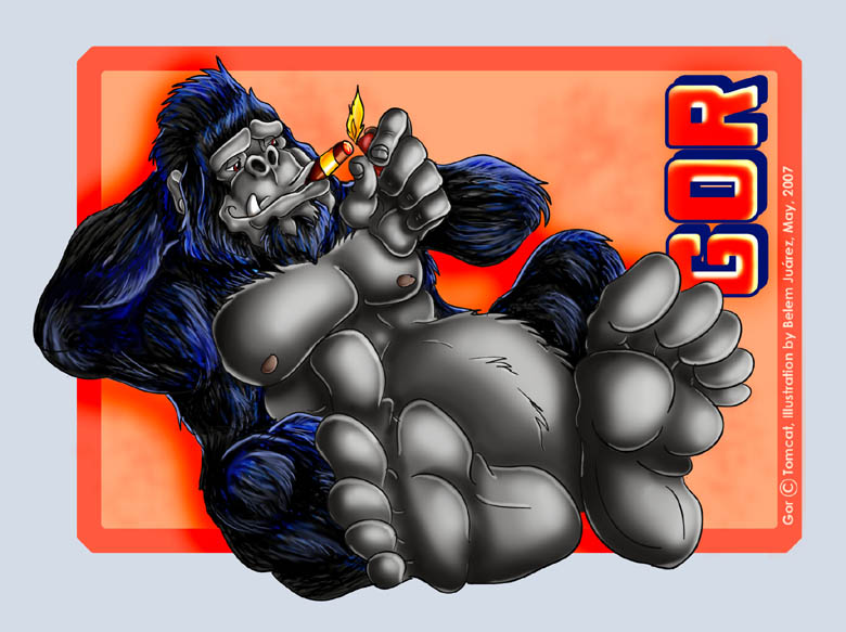 anthro barefoot blue_body blue_fur cigar cigar_in_mouth feet fur grey_body grey_skin lighter lighting_cigar male musclegut muscular muscular_anthro muscular_male nipples nude object_in_mouth pecs solo text jolyet gor_(tomcat) ape gorilla haplorhine mammal primate 2007 english_text