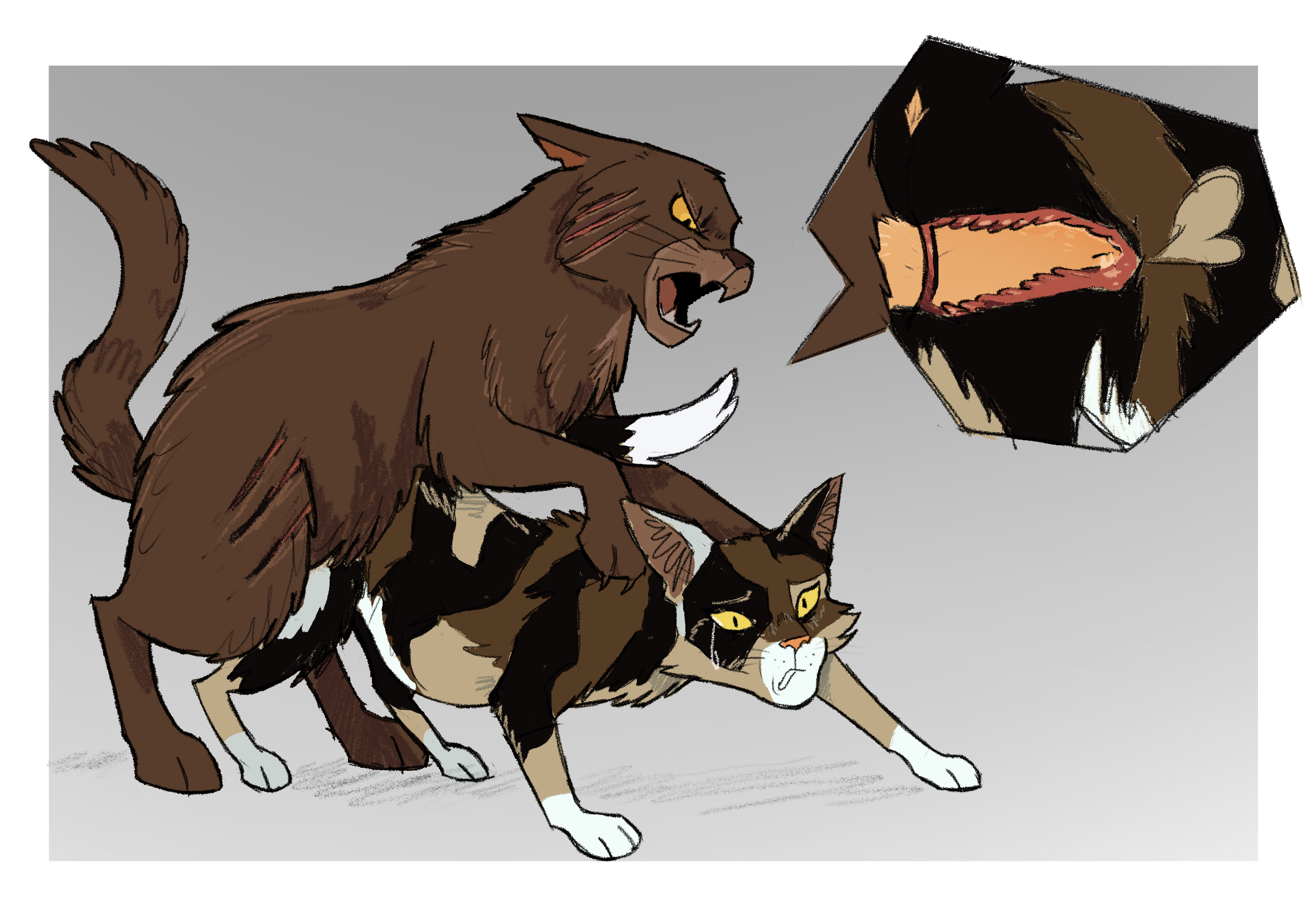 A cat inviting intimacy