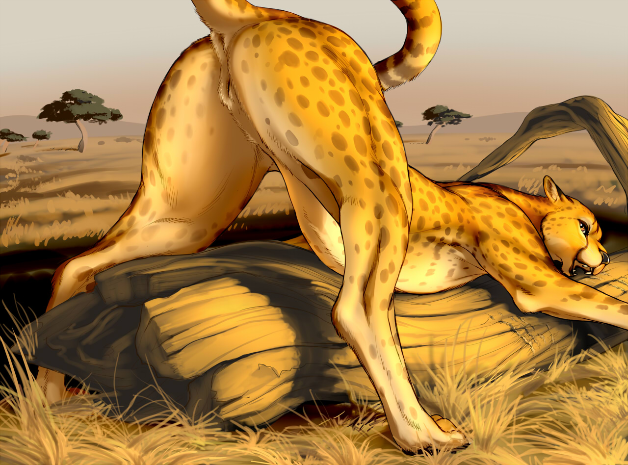 Anthro Female Cheetah Porn - Sex Pregnant Woman