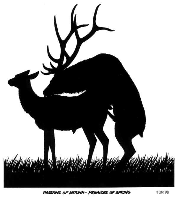 all_fours antlers doggystyle duo erection female feral from_behind_position fur genitals grass horn male male/female nude penis plant sex simple_background text white_background tim_o'rourke cervine deer elk mammal 1993 black_and_white english_text monochrome signature