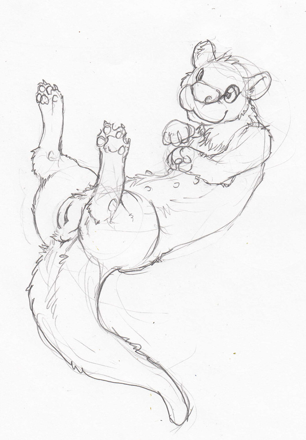 anus female feral genitals lying on_back pussy solo tail tail_anus nullenigma mammal mustelid otter 2011 black_and_white graphite_(artwork) monochrome sketch traditional_media_(artwork)