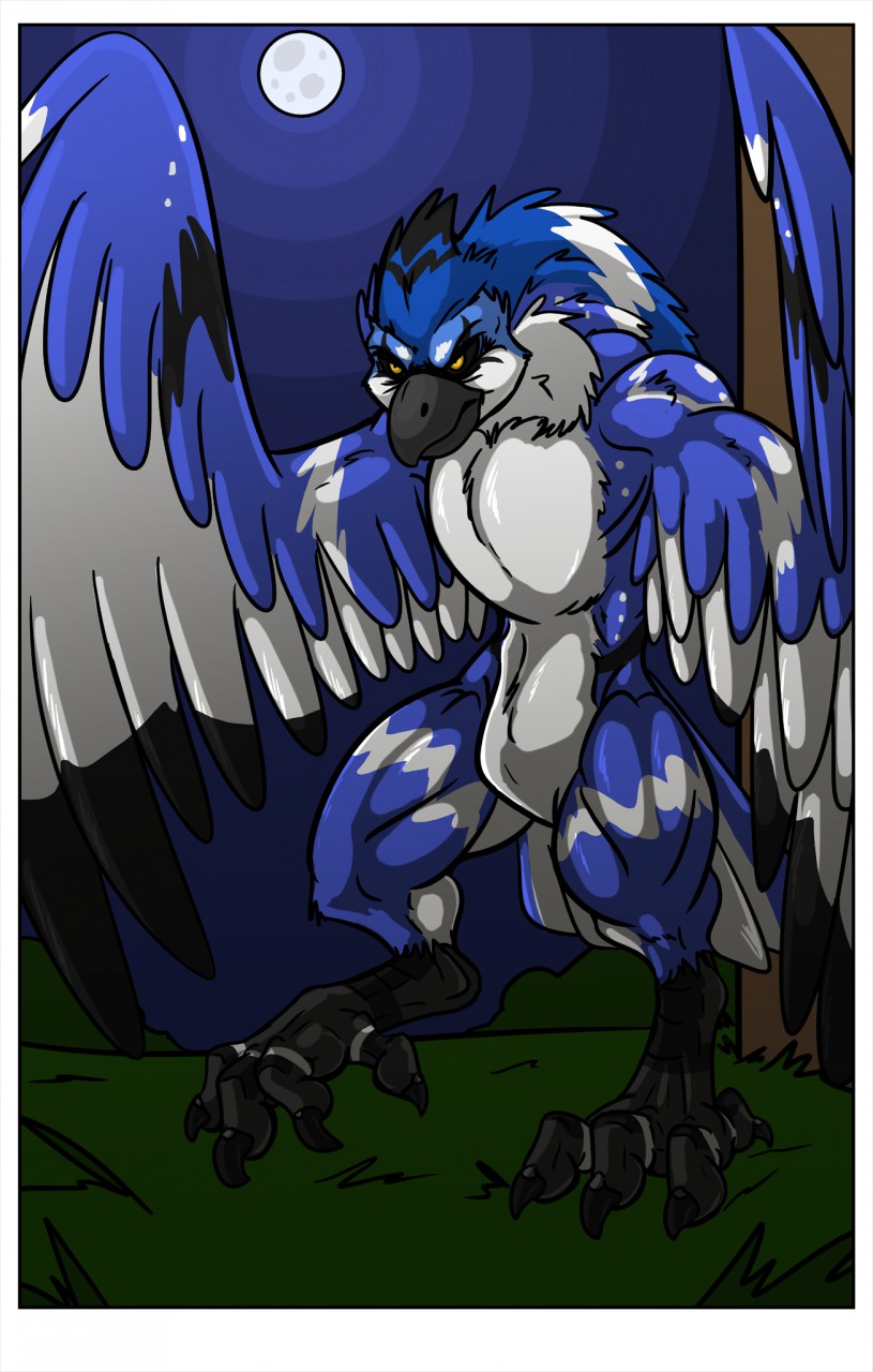 anthro avian_feet beak black_beak black_body black_feathers black_fur black_sclera blue_body blue_feathers blue_fur feathers full_moon fur male moon muscular muscular_male outside solo white_body white_feathers white_fur black-rat avalon avalon_(blueavian) avalondragon avalonjay avian were wereavian 2014 comic hi_res