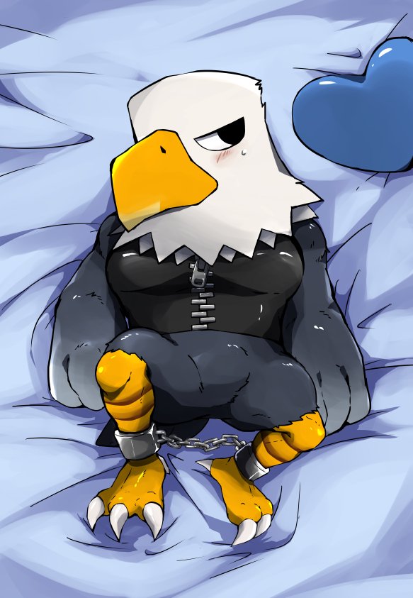 anthro avian_feet beak bed blush bottomless claws clothed clothing cuff_(restraint) embarrassed feet furniture handcuffs male metal_cuffs muscular muscular_anthro muscular_male pillow restraints shirt short_stack sleeveless solo talons toes topwear zipper ueno_ebi_sen animal_crossing nintendo apollo_(animal_crossing) pec accipitrid accipitriform avian bald_eagle bird eagle sea_eagle