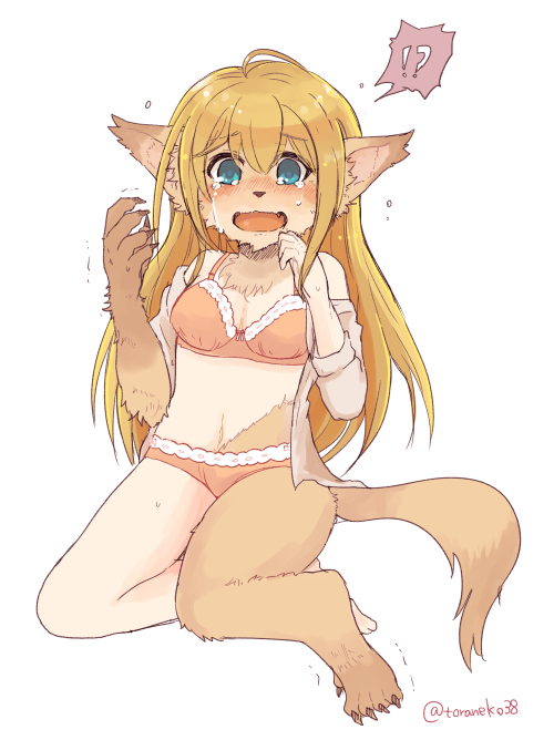 ?! anthro blonde_hair blue_eyes bodily_fluids bow_bra bow_underwear bra brown_body brown_fur claws clothed clothing confusion crying female fluffy_ears fur hair lace-trimmed_bra lace-trimmed_panties long_hair looking_at_viewer navel neck_tuft open_mouth orange_bra orange_clothing orange_panties orange_underwear panties simple_background solo tail tears transformation tuft underwear underwear_only white_background toraneko38 canid canine human mammal artist_name