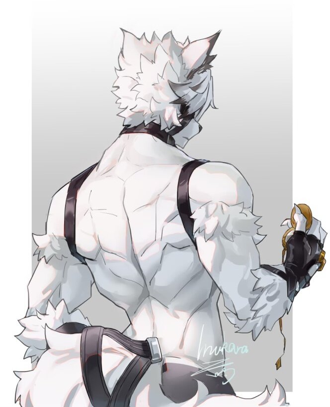 anthro back_groove back_muscles clock fluffy fur harness looking_away male muscular muscular_male rear_view simple_background solo white_body white_fur nekey159 mihoyo zenless_zone_zero von_lycaon canid canine mammal