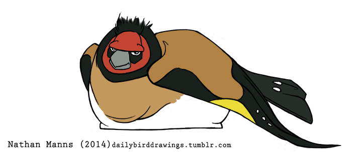 ambiguous_gender annoyed beak belly big_wings biped black_body black_face black_feathers black_tail black_tail_feathers black_text black_wings brown_body brown_feathers brown_wings countershade_torso countershading dark_body dark_feathers dark_tail dark_tail_feathers dark_text facial_markings feathered_wings feathers feral frown grey_beak half-closed_eyes head_markings looking_at_viewer lying markings mask_(marking) monotone_beak multicolored_body multicolored_face multicolored_feathers multicolored_tail multicolored_tail_feathers multicolored_wings narrowed_eyes on_front overweight overweight_ambiguous overweight_feral red_body red_face red_feathers red_markings simple_background solo tail tail_feathers text toony two_tone_face two_tone_tail two_tone_tail_feathers unimpressed white_background white_body white_countershading white_feathers white_tail white_tail_feathers white_wings winged_arms wings year yellow_body yellow_feathers yellow_wings jamminbison avian bird cardueline cardueline_finch european_goldfinch finch fringillid oscine passerine true_finch 2014 artist_name digital_drawing_(artwork) digital_media_(artwork) flat_colors full-length_portrait portrait url