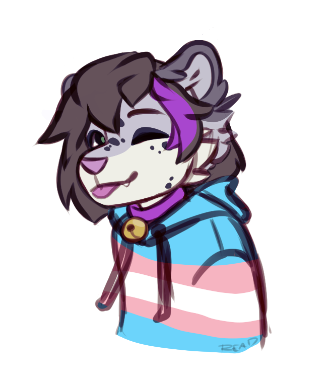 bell bell_collar blep clothing clothing_cord collar drawstring female fluffy highlights_(coloring) hoodie lgbt_pride pattern_clothing pattern_shirt pattern_topwear pride_color_clothing pride_colors shirt striped_clothing striped_shirt striped_topwear stripes tongue tongue_out topwear transgender_pride_colors wereshiba rin_(kittyrin) felid mammal pantherine snow_leopard trans_(lore) trans_woman_(lore)