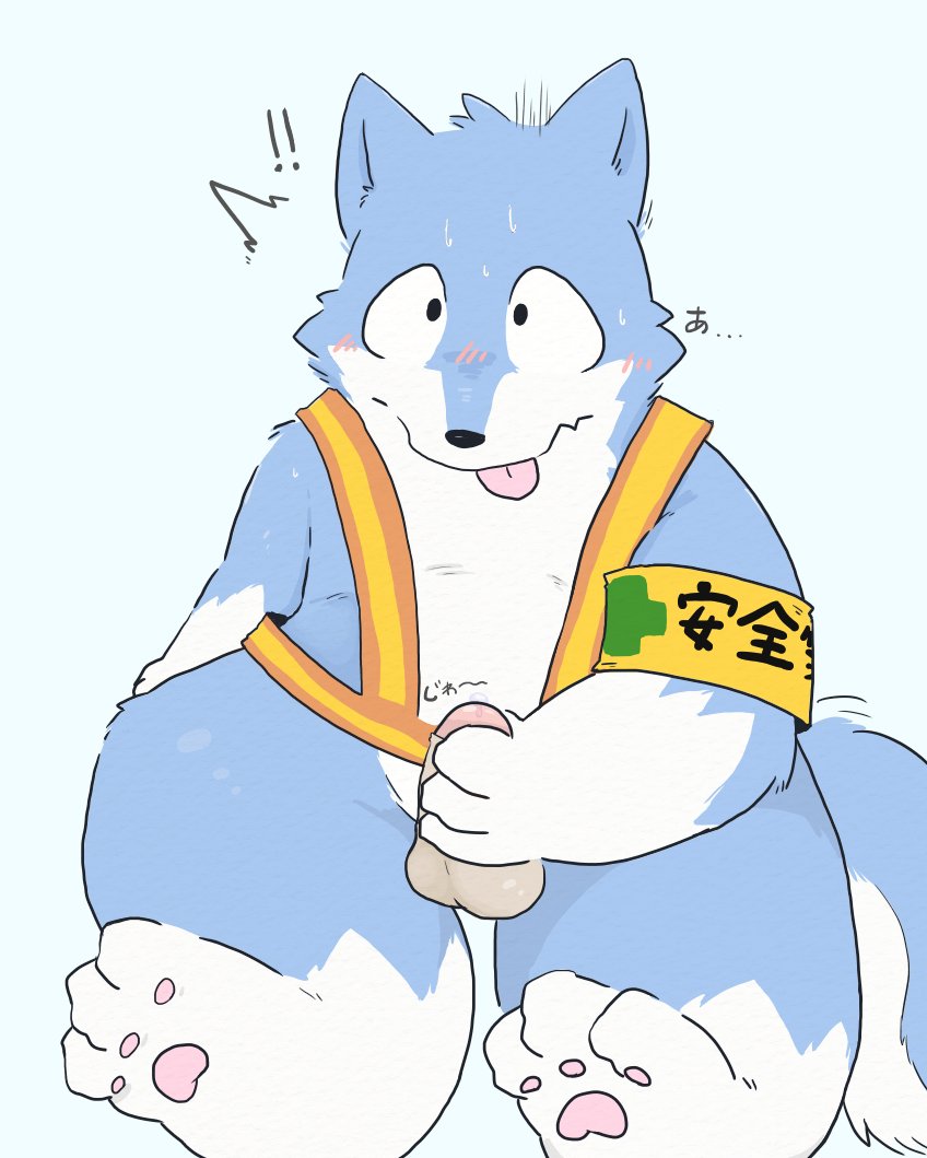 anthro balls blue_body blue_fur fur humanoid_hands male masturbation penile penile_masturbation penis simple_background solo text white_background white_body white_fur tinntira canid canine canis domestic_dog mammal 2019 japanese_text