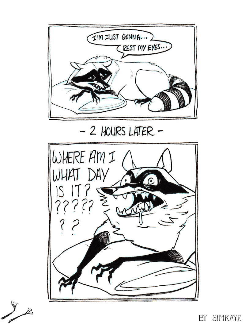 ambiguous_gender bodily_fluids drooling feral humor pillow saliva solo speech_bubble text simkaye raccoon_comic_(simkaye) coon_(simkaye) mammal procyonid raccoon 2020 comic english_text monochrome signature