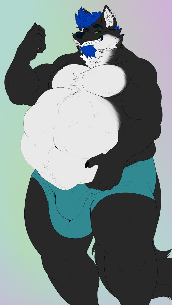 anthro belly big_belly big_bulge black_body black_fur blue_hair bulge clothing ear_piercing ear_ring fully_inside fur green_eyes hair hand_on_belly male mature_male muscular muscular_male piercing ring_piercing same_size_vore smile underwear vore white_body white_fur clovishusky xilver canid canine canis mammal wolf 9:16 hi_res