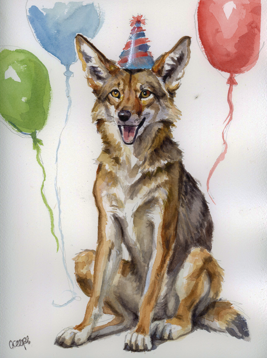 ambiguous_gender balloon clothing feral hat headgear headwear inflatable open_mouth party_hat realistic realistic_anatomy realistic_fur realistic_lighting realistic_shading simple_background sitting solo whiskers white_background creeps canid canine canis coyote mammal 2024 signature traditional_media_(artwork) watercolor_(artwork)