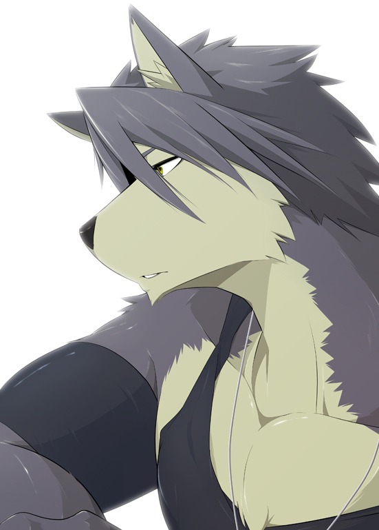 anthro biceps black_nose clothing fur grey_body grey_fur grey_hair hair jewelry looking_away male muscular muscular_anthro muscular_male necklace pecs shirt simple_background solo tank_top topwear vest white_background yellow_eyes ig1119 morenatsu kouya_(morenatsu) canid canine canis domestic_dog husky mammal nordic_sled_dog spitz 2011