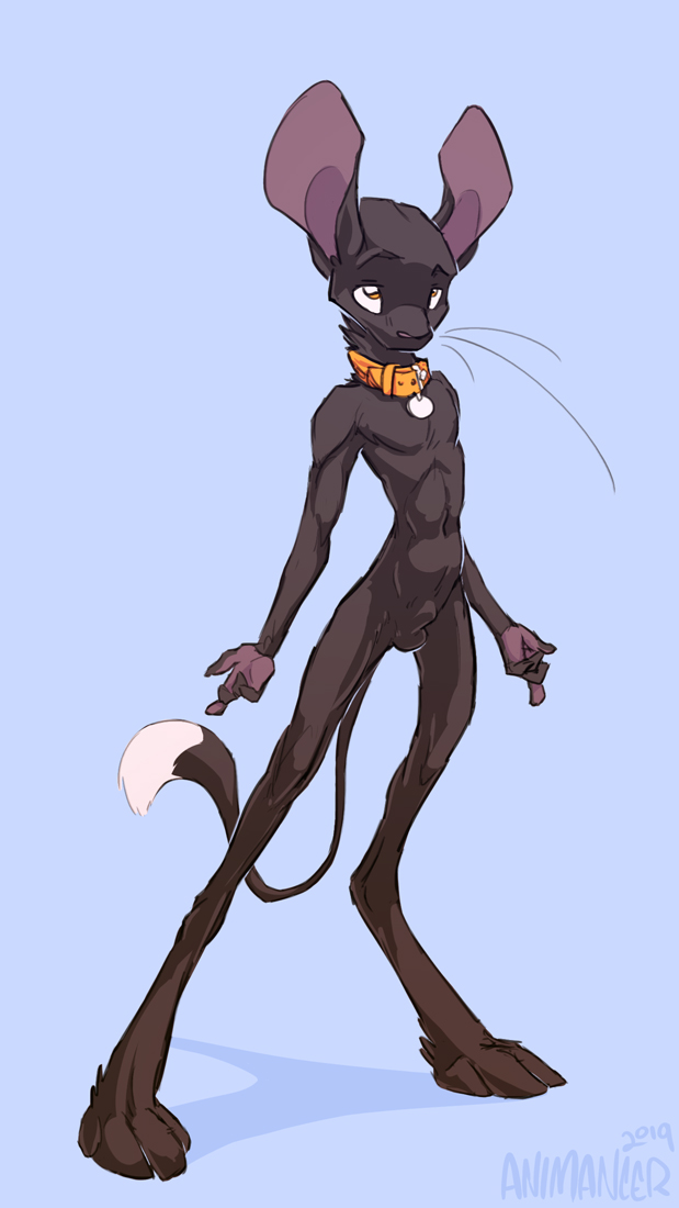 animal_genitalia anthro balls black_body black_fur collar fully_sheathed fur genitals male nude sheath solo animancer jinx_(animancer) dipodid jerboa mammal rodent