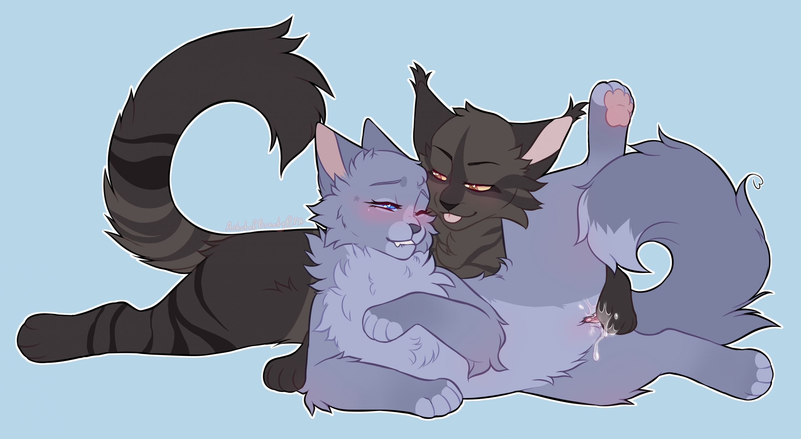 Warrior cats nsfw