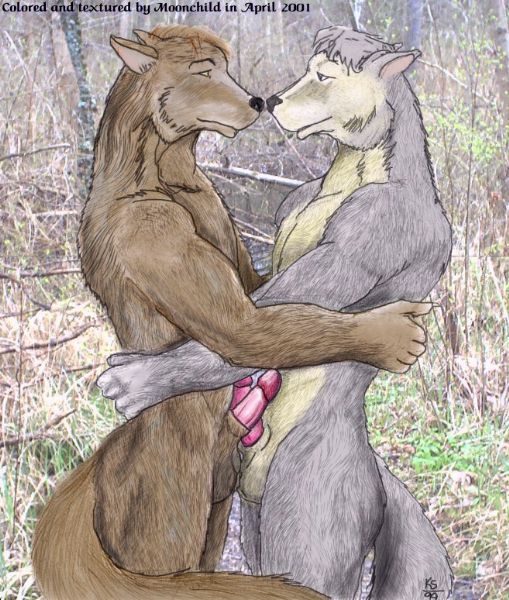 anthro brown_body brown_fur duo erection forest frottage fur genitals grey_body grey_fur holding_each_other hug humanoid_genitalia humanoid_penis intraspecies male male/male nude outside penile penis plant romantic romantic_couple sex tree kylee moonchild canid canine canis mammal wolf 1999 2001 archived_source traditional_media_(artwork)