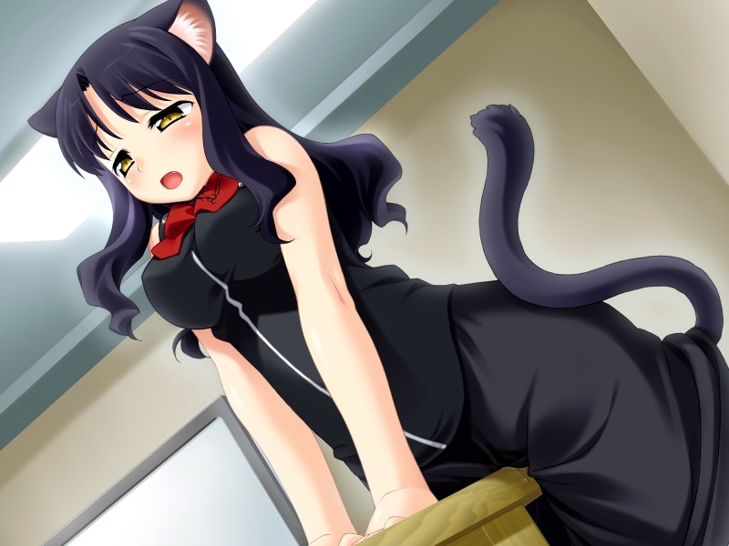 black_hair bodily_fluids crotch_rub cum desk fangs female furniture genital_fluids grinding hair improvised_sex_toy masturbation solo table table_humping tail teeth vaginal_fluids wet yellow_eyes unknown_artist wanko_to_kurasou kuu_(wanko) animal_humanoid cat_humanoid felid felid_humanoid feline feline_humanoid humanoid mammal mammal_humanoid 4:3 wallpaper