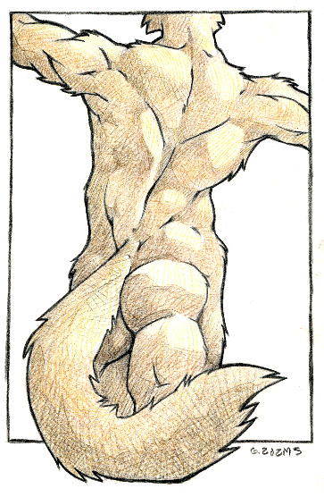 anthro back_muscles butt faceless_character fur male muscular muscular_anthro muscular_male rear_view simple_background solo spread_arms tail tan_body tan_fur white_background artdecade canid canine mammal 2002 colored_pencil_(artwork) dated shaded traditional_media_(artwork)