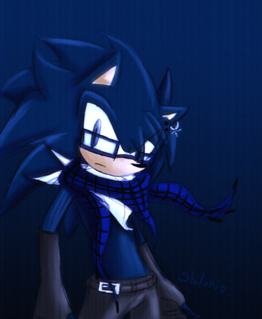 blue_eyes clothing gloves handwear male solo shilumi sega sonic_the_hedgehog_(series) fan_character eulipotyphlan hedgehog mammal 2011