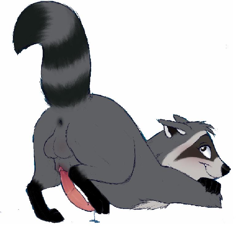 anatomically_correct anatomically_correct_genitalia anatomically_correct_penis animal_genitalia animal_penis anus ass_up balls blush bodily_fluids butt feral genital_fluids genitals looking_at_viewer looking_back male penis precum presenting presenting_anus presenting_hindquarters raccoon_penis raised_tail sheath solo tail unknown_artist pocahontas meeko_(disney) mammal procyonid raccoon 2017