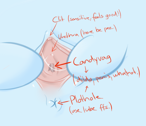 clit Vagina diagram