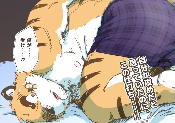 anthro belly butt clothing kemono male moobs nipples overweight overweight_anthro overweight_male solo text underwear n_gata21 felid mammal pantherine tiger 2016 japanese_text