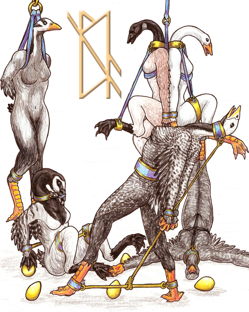 anthro bdsm beak biped bondage bound breasts claws egg feathers female group non-mammal_breasts simple_background white_background hassen13 the_twelve_days_of_christmas_(song) anatid anseriform anserinae avian bird goose 4:5 traditional_media_(artwork)