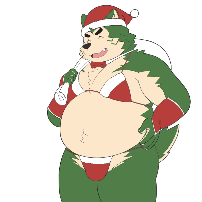 anthro belly bikini bulge christmas_clothing christmas_headwear clothed clothing crossdressing eyebrows fur green_body green_fur hat headgear headwear holidays male navel overweight overweight_male santa_hat smile solo swimwear thick_eyebrows two-piece_swimsuit yaki_atsuage christmas lifewonders live_a_hero mokdai canid canine canis domestic_dog mammal 1:1