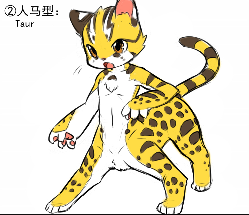 anthro countershading fur kemono male nude solo text young young_anthro young_male unrealplace raier_(unrealplace) cat_taur domestic_cat felid felid_taur feline feline_taur felis leopard_cat mammal mammal_taur prionailurus taur chinese_text