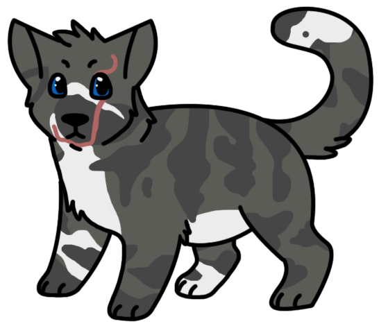 ambiguous_gender black_nose blue_eyes digitigrade facial_scar feral fur grey_body grey_fur paws raised_tail scar simple_background solo standing tail transparent_background white_body white_fur sebdoggo domestic_cat felid feline felis mammal 2016 adobe_photoshop_(artwork) alpha_channel digital_drawing_(artwork) digital_media_(artwork) flat_colors full-length_portrait portrait