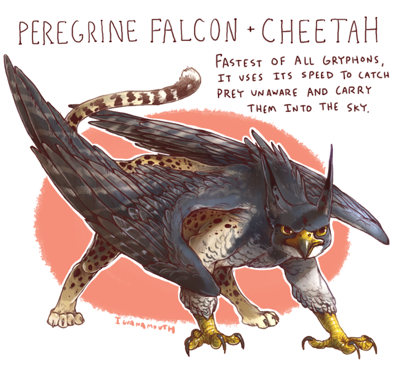 4_toes ambiguous_gender anisodactyl avian_feet beak feathered_wings feathers feet feral looking_at_viewer quadruped simple_background solo standing tail talons text toes wings iguanamouth mythology avian bird cheetah falcon falconid felid feline gryphon hybrid mammal mythological_avian mythological_creature peregrine_falcon english_text signature