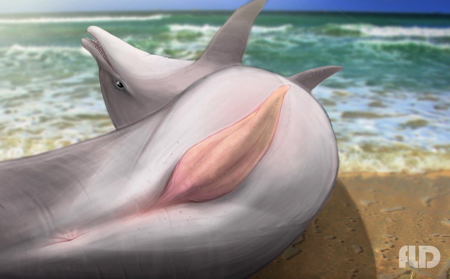 Dolphin blowjob