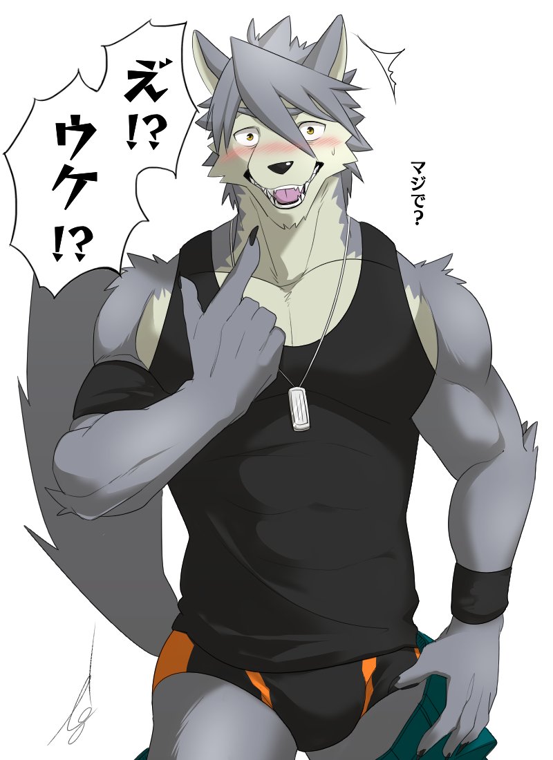 anthro blush bulge clothed clothing dialogue dog_tags exclamation_point fur grey_hair hair jewelry kemono male muscular muscular_anthro muscular_male necklace open_mouth question_mark sharp_teeth shirt solo tank_top teeth text topwear underwear ig1119 morenatsu kouya_(morenatsu) canid canine canis domestic_dog husky mammal nordic_sled_dog spitz 2016 japanese_text