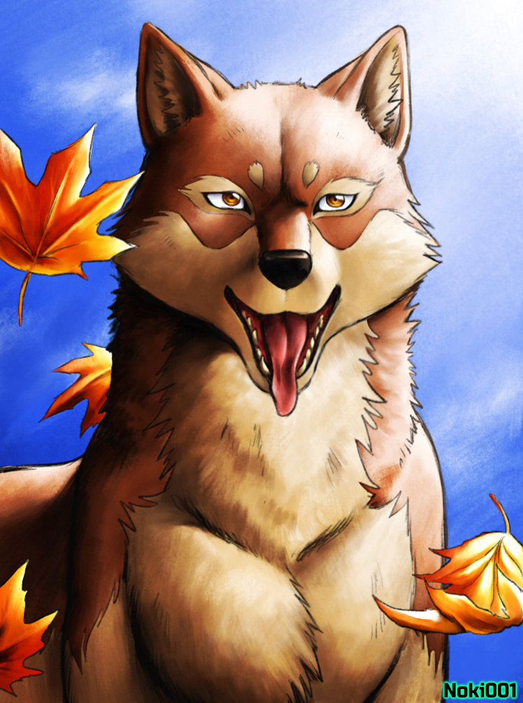 ambiguous_gender blue_sky brown_body brown_eyes brown_fur detailed_background falling_leaves feral fur open_mouth orange_leaves sky solo sunny tan_body tan_fur tongue tongue_out noki001 canid canine canis mammal wolf