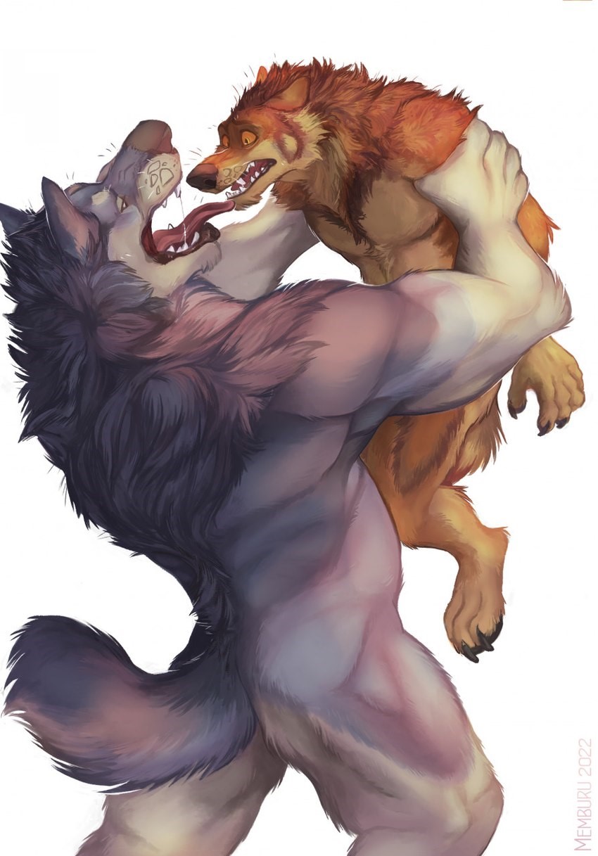 anthro arm_grab back_tuft biceps bodily_fluids brown_body dialogue duo fluffy grabbing_arms grey_body holding_partner imminent_vore lifting_another lifting_partner male male/male muscular muscular_anthro muscular_male neck_tuft open_mouth saliva sharp_teeth simple_background size_difference teeth tongue tuft white_background memburu canid canine canis mammal wolf hi_res