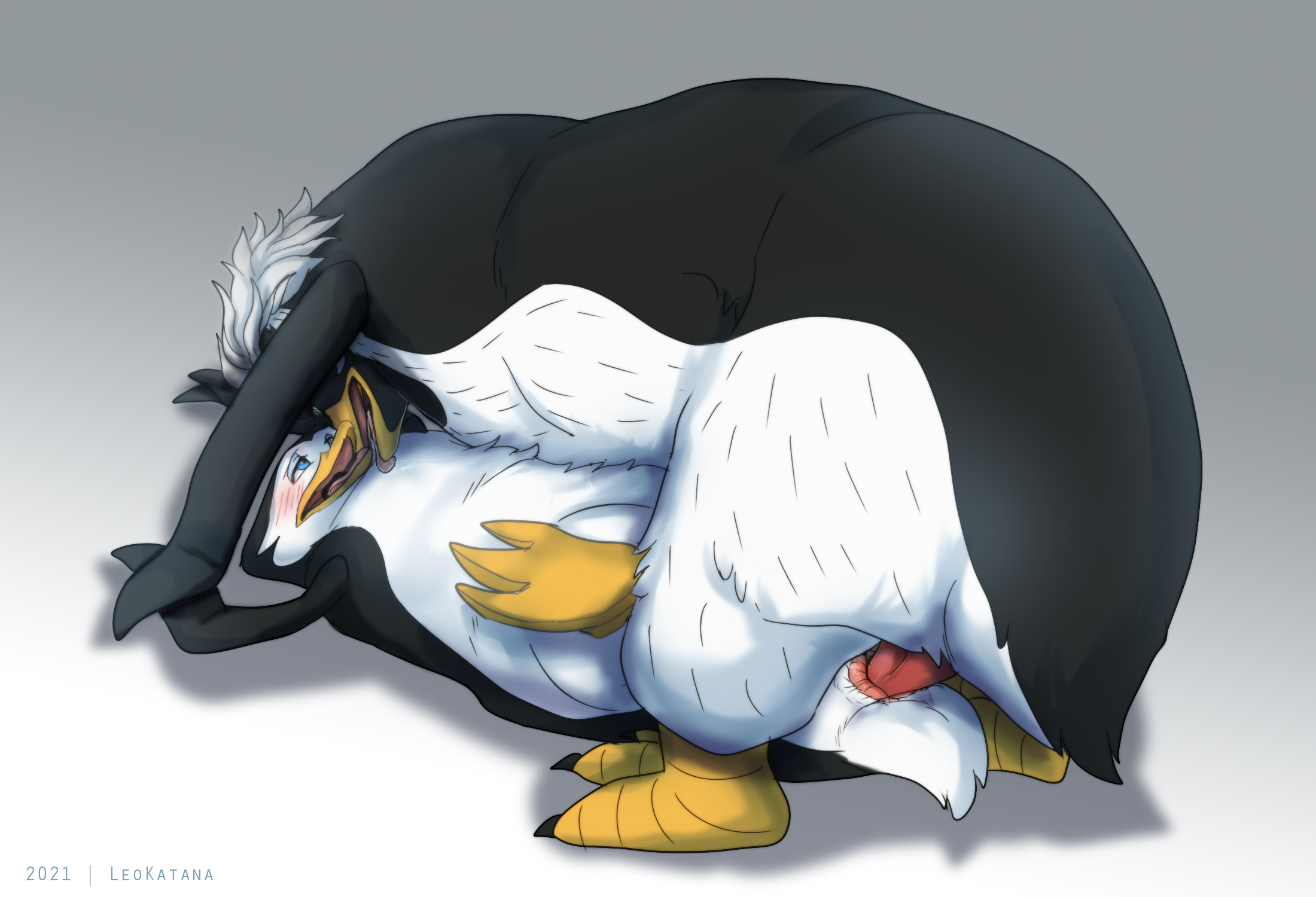 Penguin e621