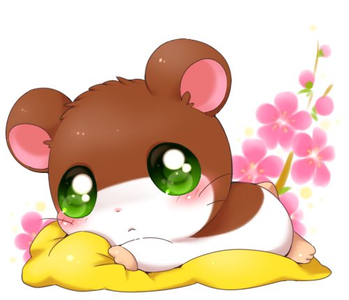 bedding blanket blush brown_body brown_fur female feral flower fur green_eyes looking_at_viewer lying plant simple_background solo whiskers white_background white_body white_fur young aimia492 hamtaro_(series) penelope_(hamtaro) cricetid hamster mammal rodent low_res