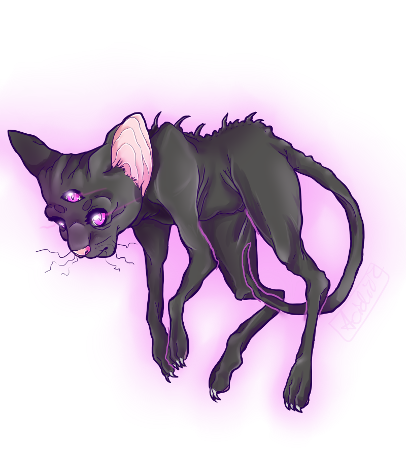 3_eyes ambiguous_gender big_ears black_body claws emaciated feral floating glowing glowing_eyes multi_eye paws pointy_ears prick_ears skinny solo spines toe_claws whiskers acidiic welcome_to_night_vale khoshekh domestic_cat felid feline felis mammal alpha_channel cool_colors purple_theme