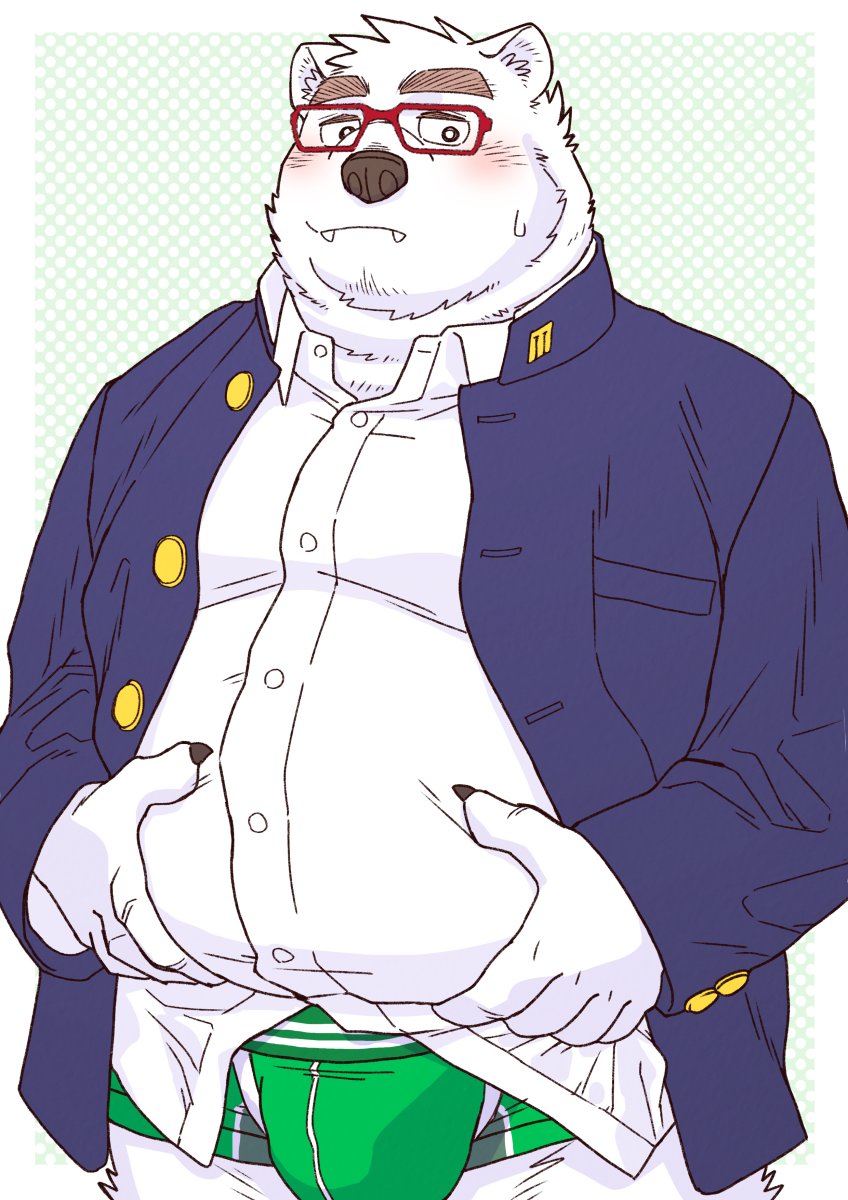 anthro belly blush bulge clothing cute_fangs eyewear fangs fur glasses kemono male overweight overweight_male shirt solo teeth topwear underwear white_body white_fur ryuta-h bear mammal polar_bear ursine 2024 hi_res